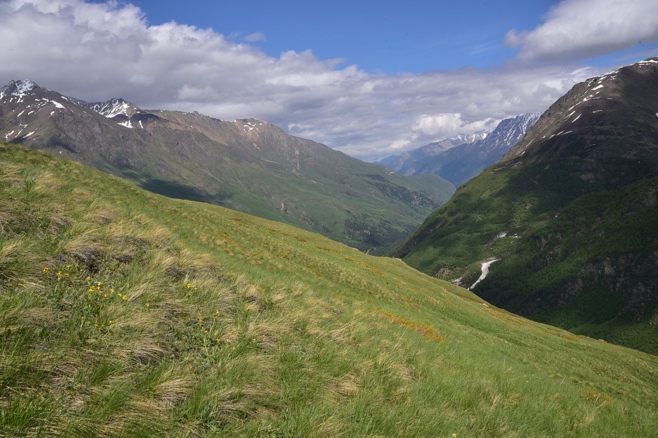 Восточный склон горы Чегет, image of landscape/habitat.