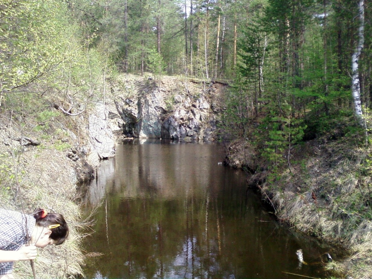 Окрестности города Новоуральска, image of landscape/habitat.