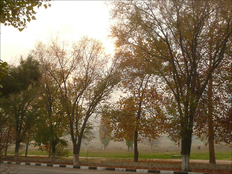 Новороссийск, image of landscape/habitat.