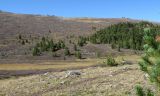 Image of landscape