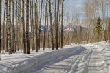 Окрестности села Рысакаево, image of landscape/habitat.