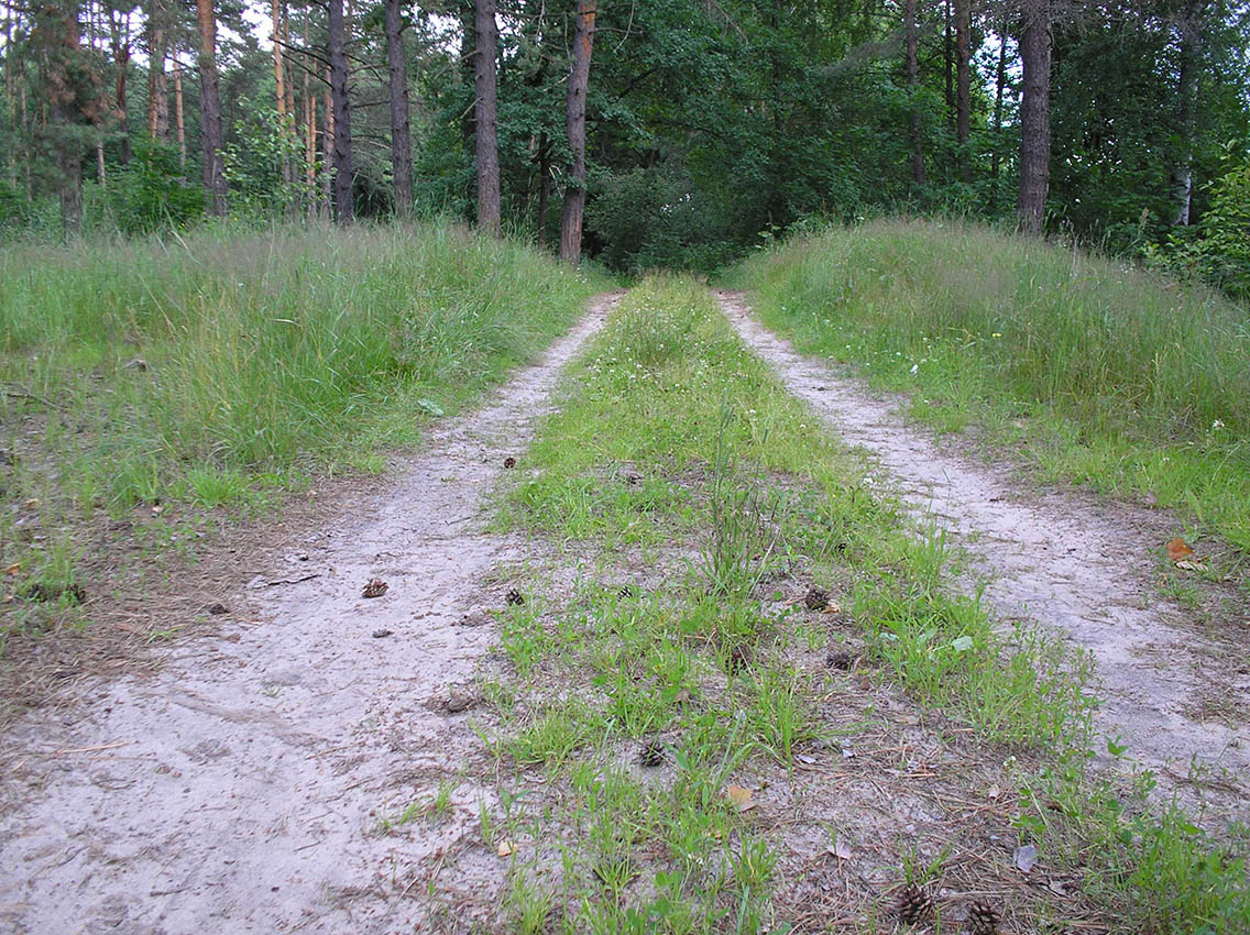 Жидеевская дача, image of landscape/habitat.