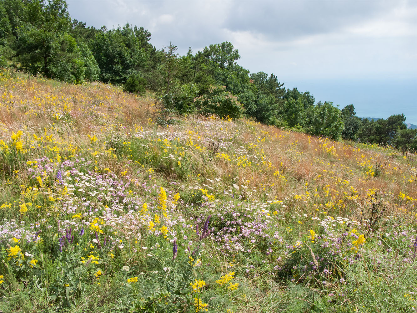 Большой Маркотх, image of landscape/habitat.