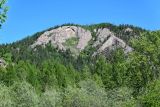 Долина реки Сарала, image of landscape/habitat.