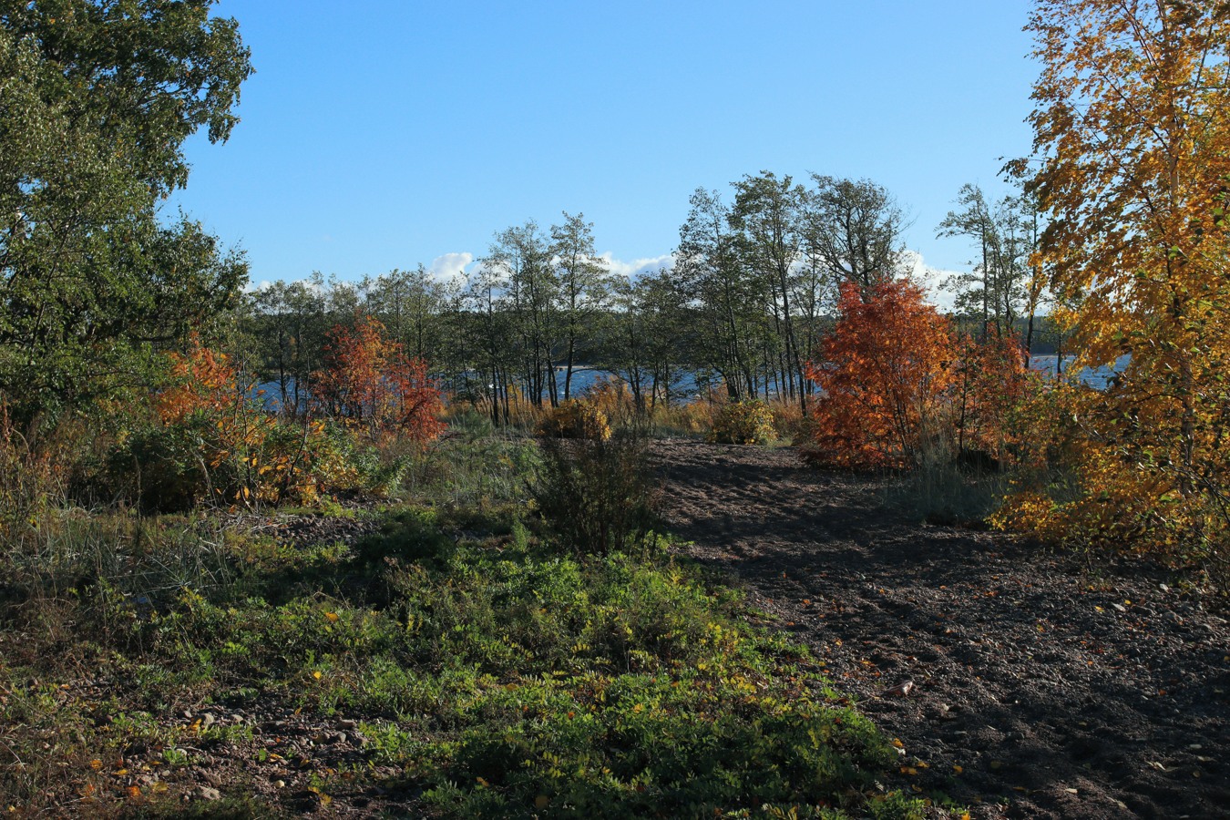 Шепелёвский маяк, image of landscape/habitat.