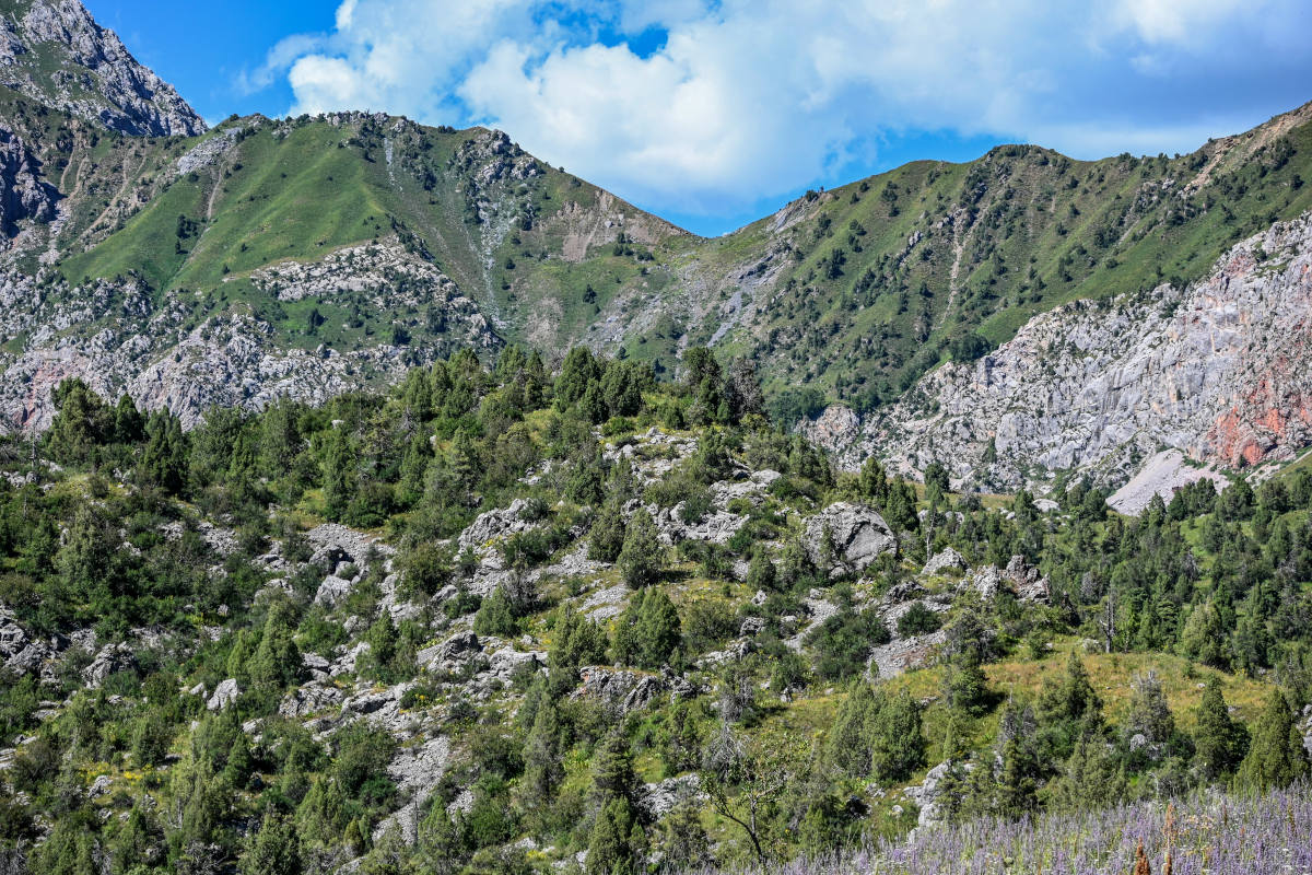 Озеро Ири-Кёль, image of landscape/habitat.