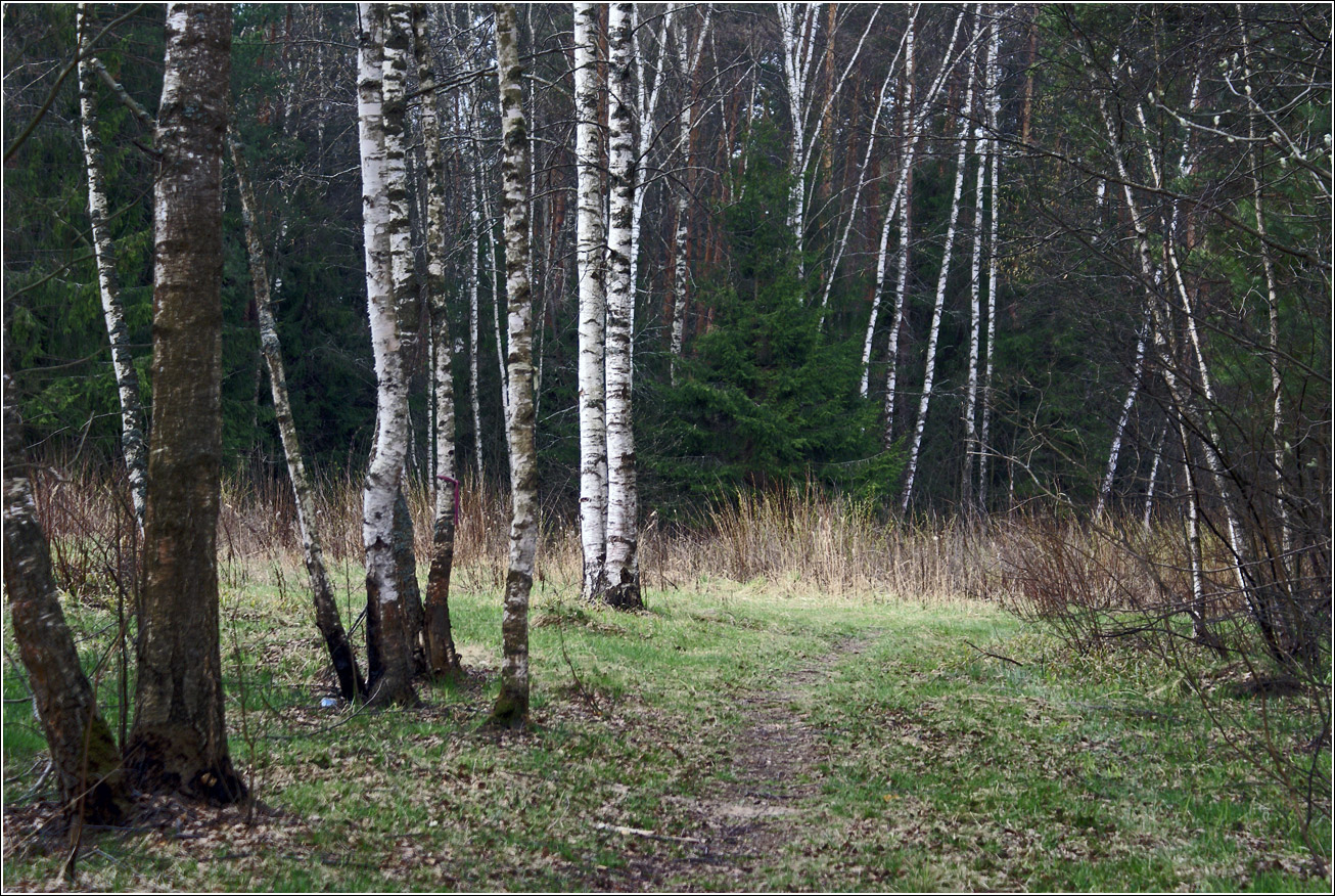 Окрестности Хрипани, image of landscape/habitat.