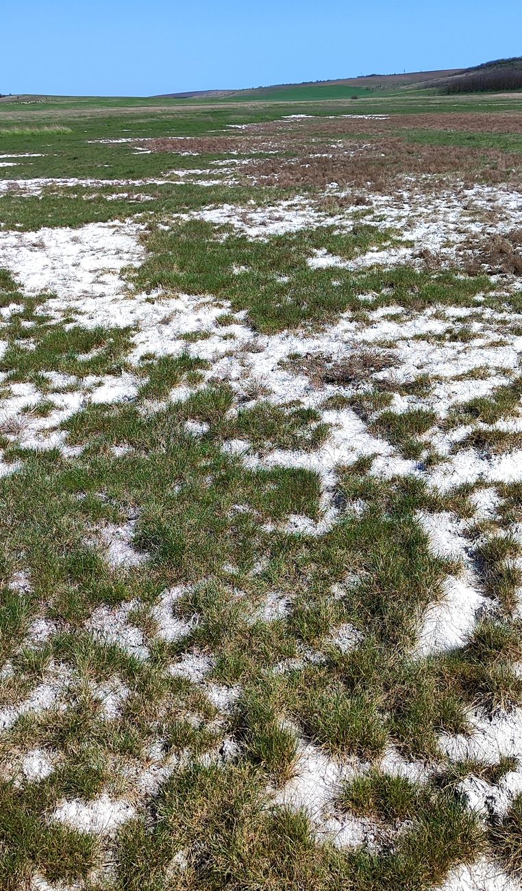 Жавгур, image of landscape/habitat.