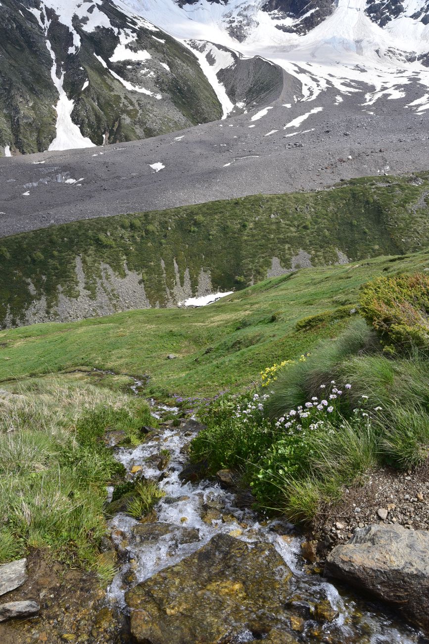 Долина реки Донгуз-Орун, image of landscape/habitat.