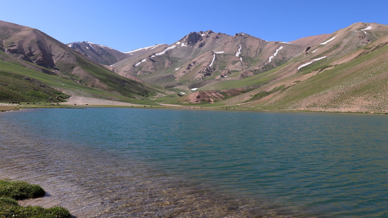 Арашан, image of landscape/habitat.