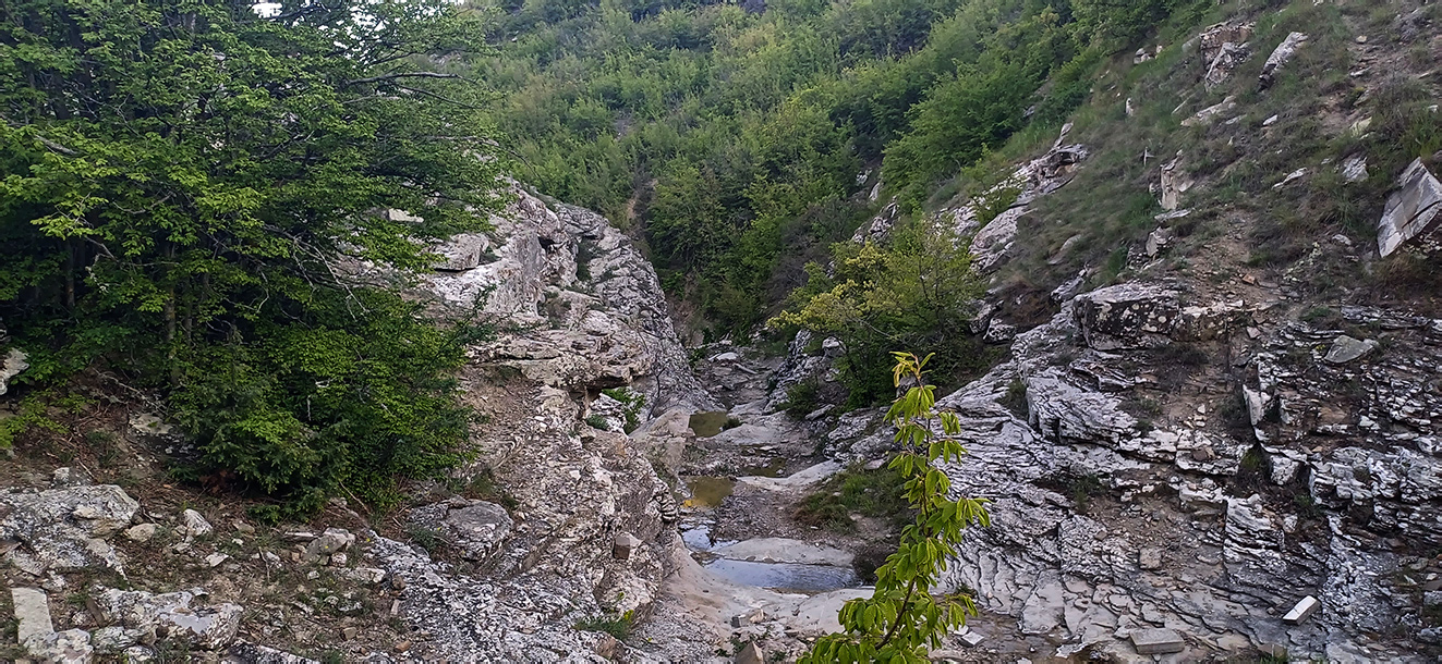Хребет Токлук-Сырт, image of landscape/habitat.