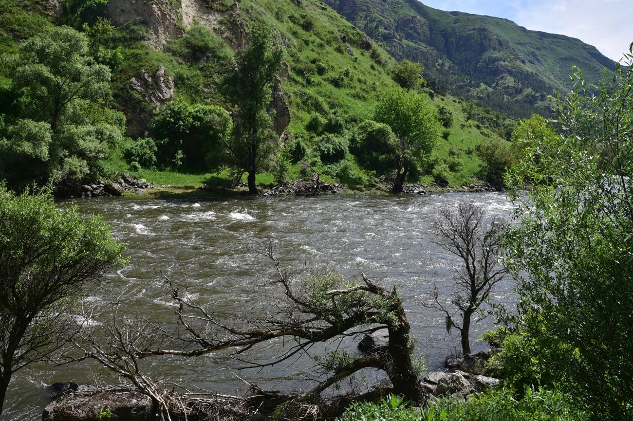 Брошенное курдское селение, image of landscape/habitat.