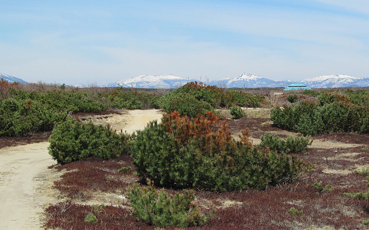 Село Охотское, image of landscape/habitat.