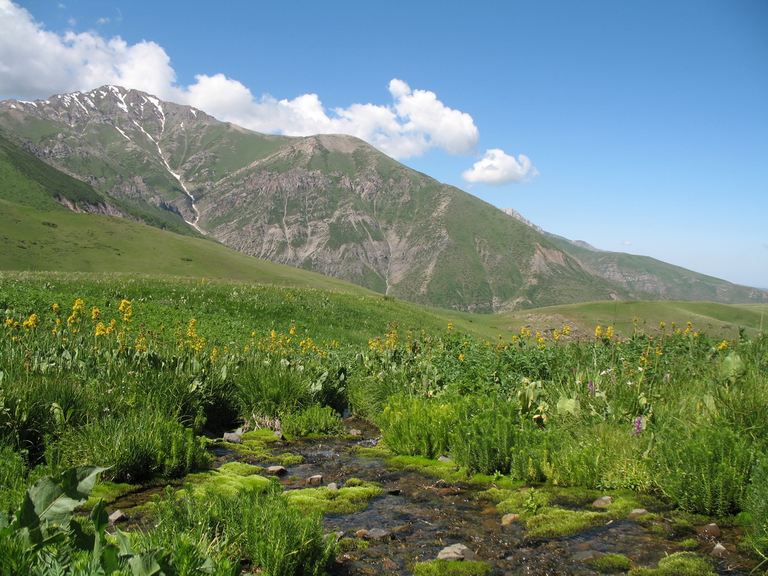 Бойдаксай, image of landscape/habitat.