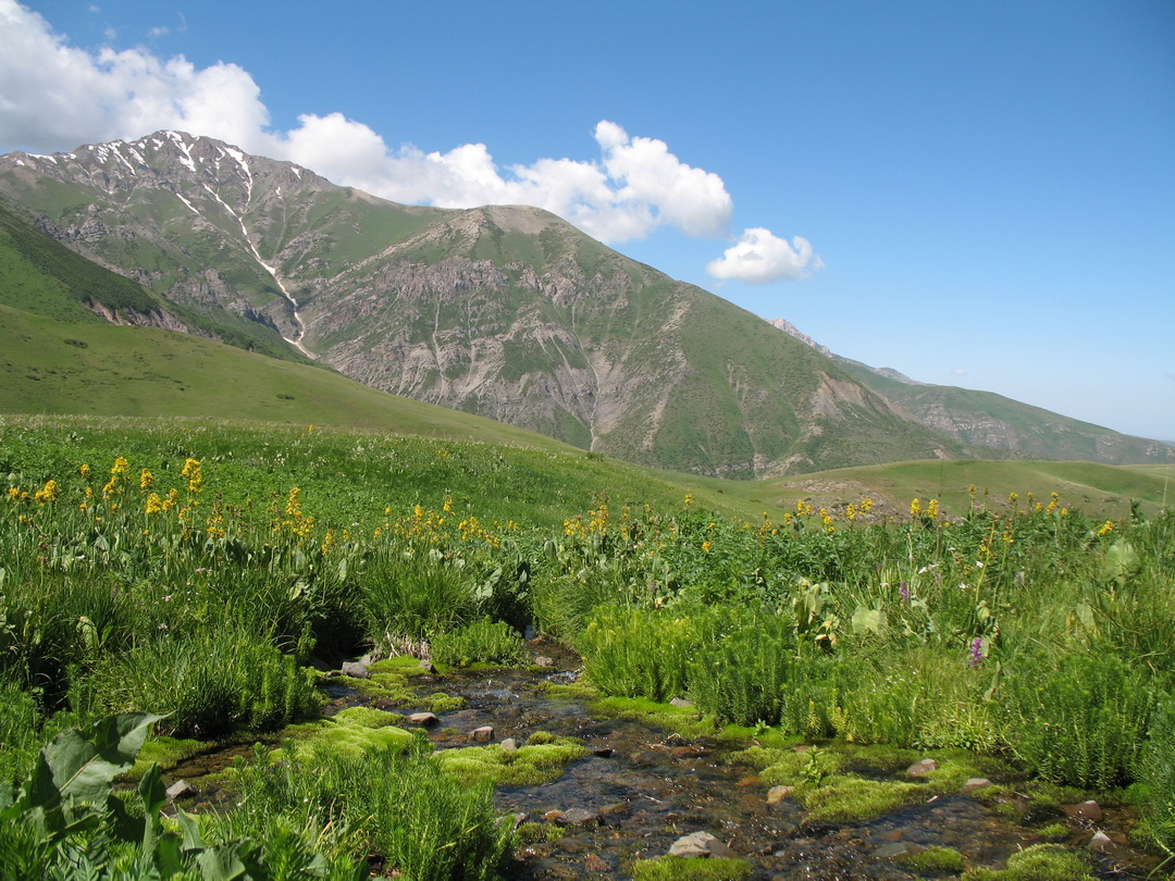 Бойдаксай, изображение ландшафта.