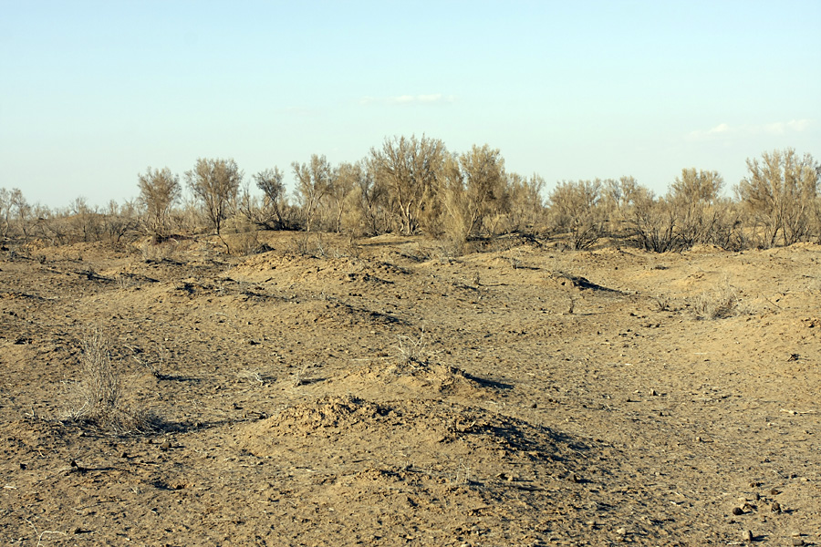 Экоцентр "Джейран", image of landscape/habitat.