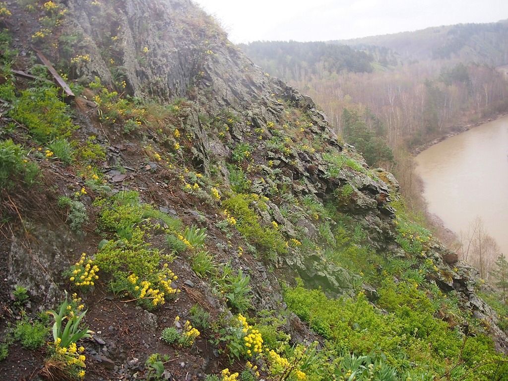 Бердские скалы, image of landscape/habitat.