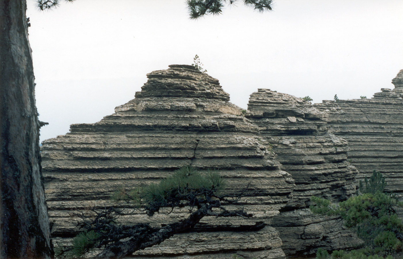 Хребет Таракташ, image of landscape/habitat.