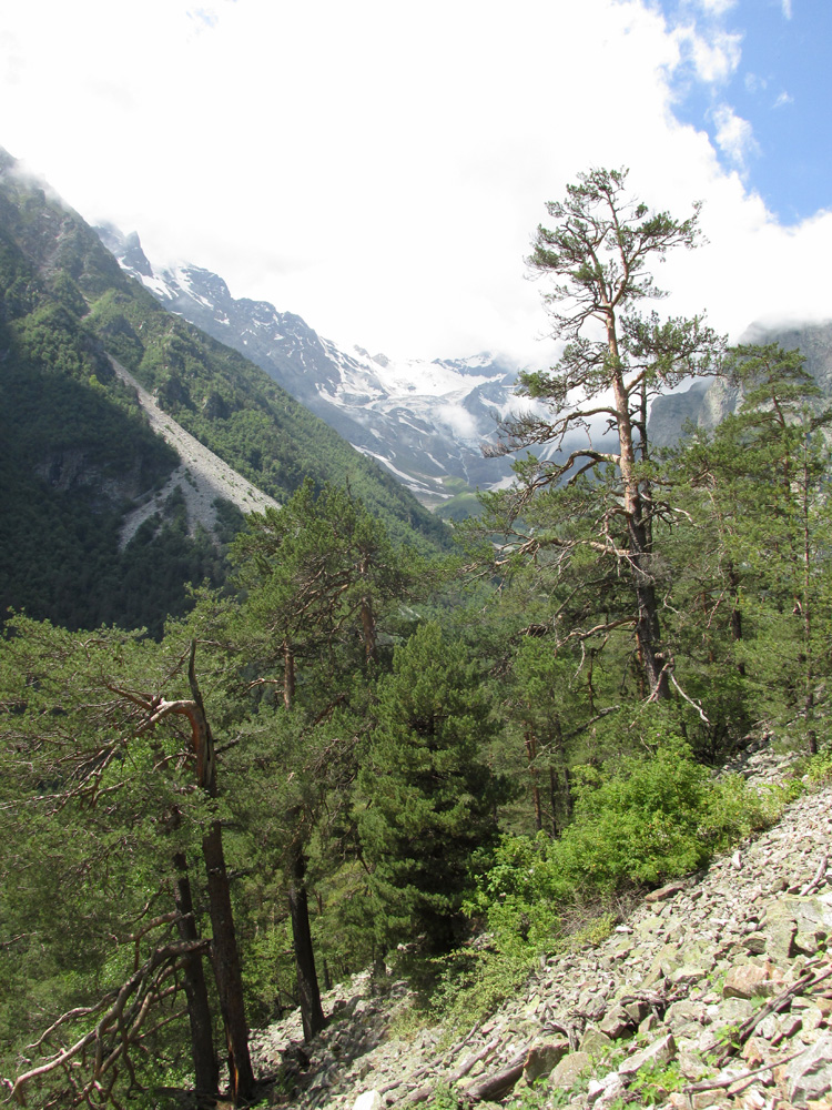 Цейское ущелье (средняя часть), image of landscape/habitat.