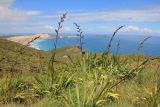 Image of landscape