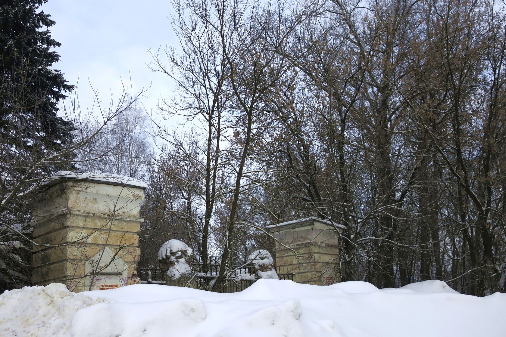 Лосино-Петровский и окрестности, image of landscape/habitat.