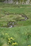 Долина реки Донгуз-Орун, image of landscape/habitat.