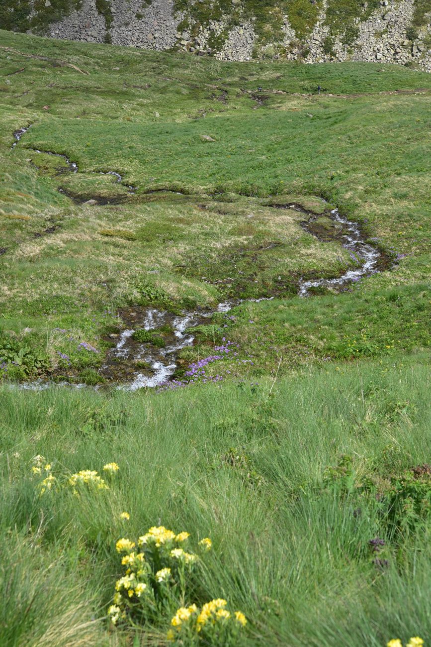Долина реки Донгуз-Орун, image of landscape/habitat.