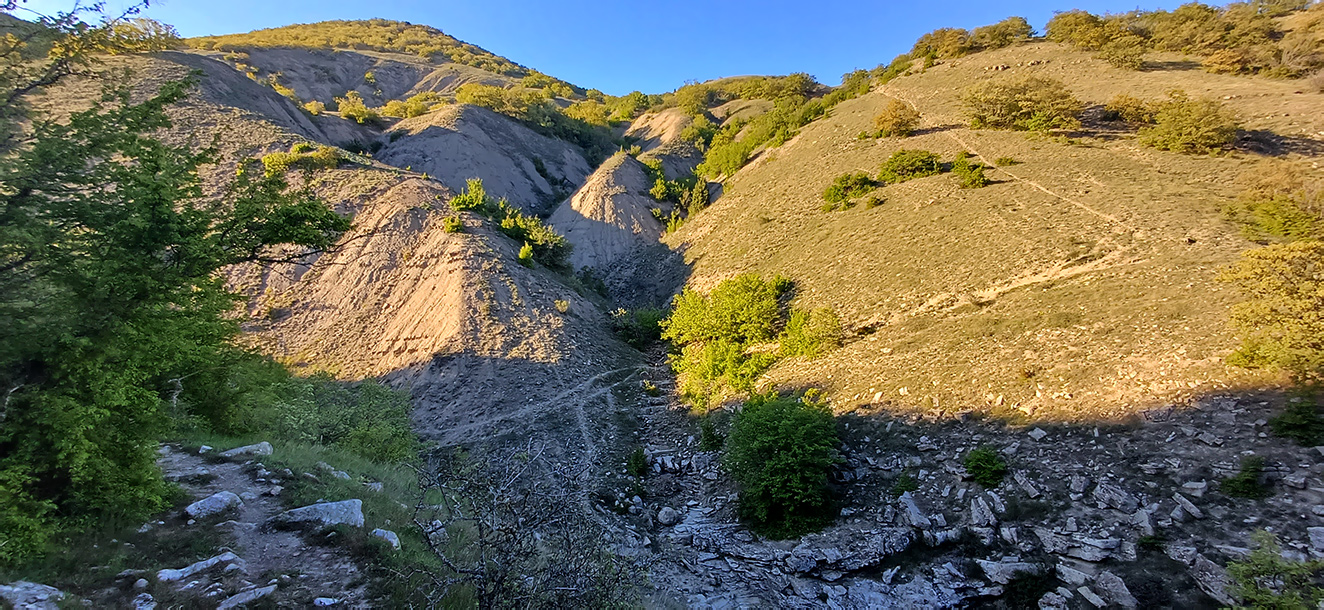 Хребет Токлук-Сырт, image of landscape/habitat.