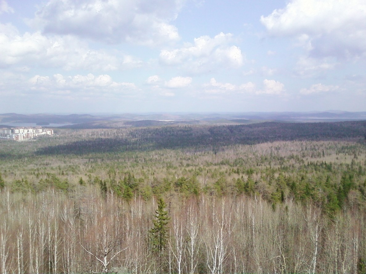 Окрестности города Новоуральска, image of landscape/habitat.