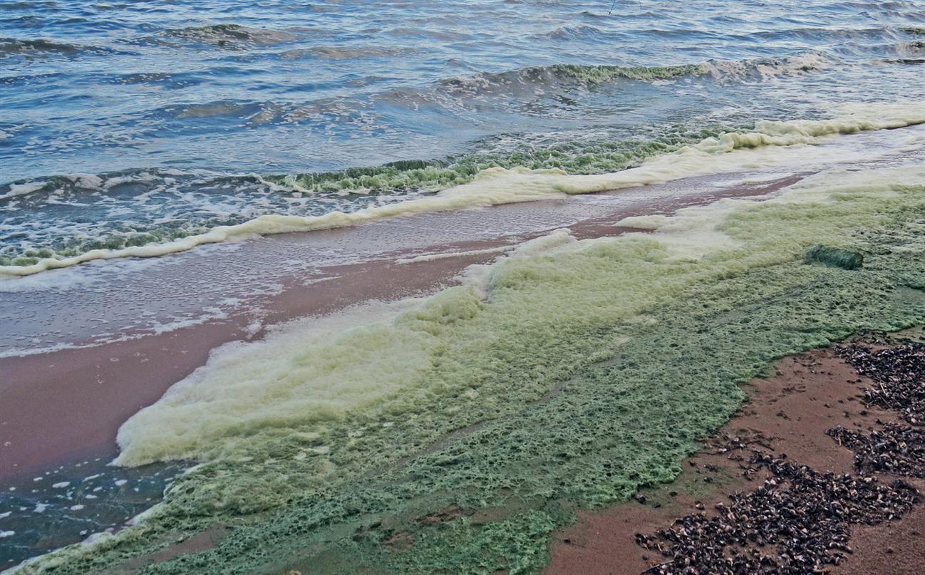 Куйбышевское водохранилище, image of landscape/habitat.