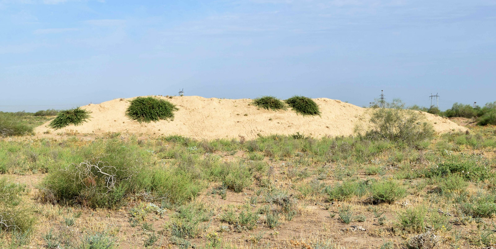 Дальверзинская степь, image of landscape/habitat.