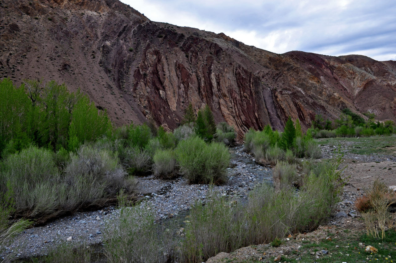 Долина реки Кызыл-Чин, изображение ландшафта.