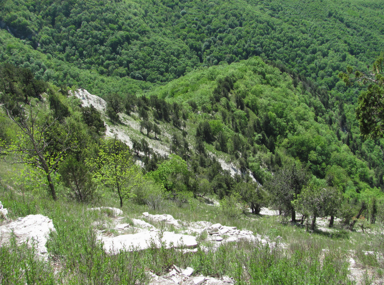 Папай, image of landscape/habitat.