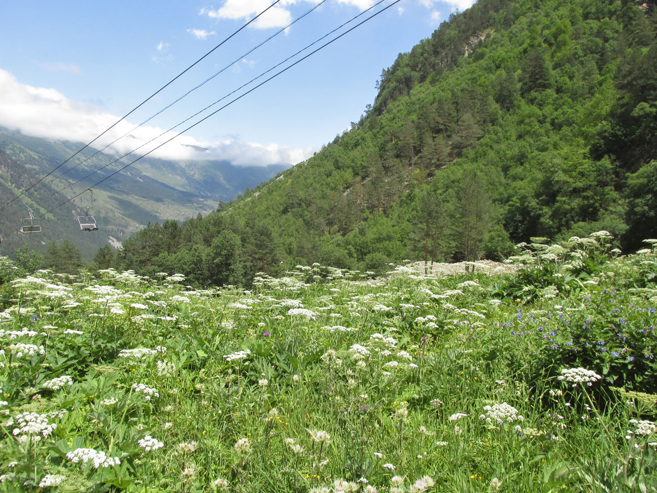 Цейское ущелье (средняя часть), image of landscape/habitat.