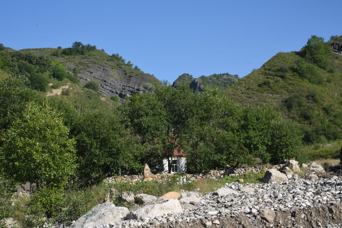Дом Мансура, image of landscape/habitat.