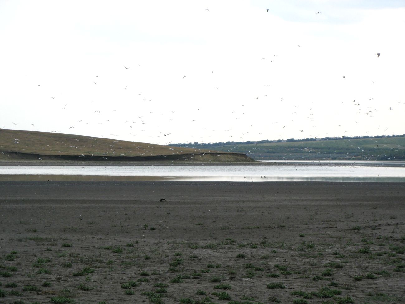 Прутень, image of landscape/habitat.