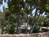 Image of landscape