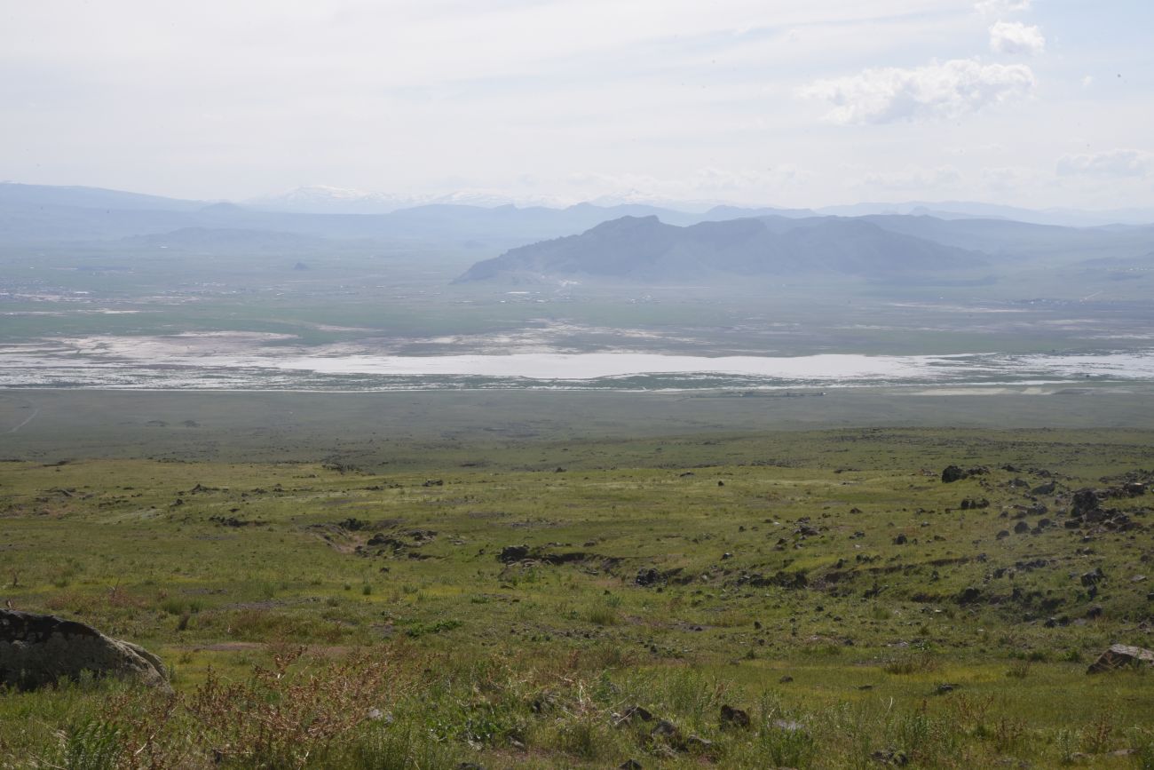 Озеро Шейхли, image of landscape/habitat.