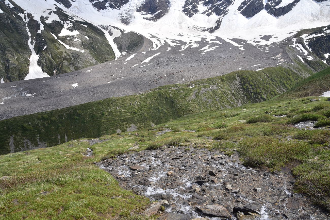 Долина реки Донгуз-Орун, image of landscape/habitat.