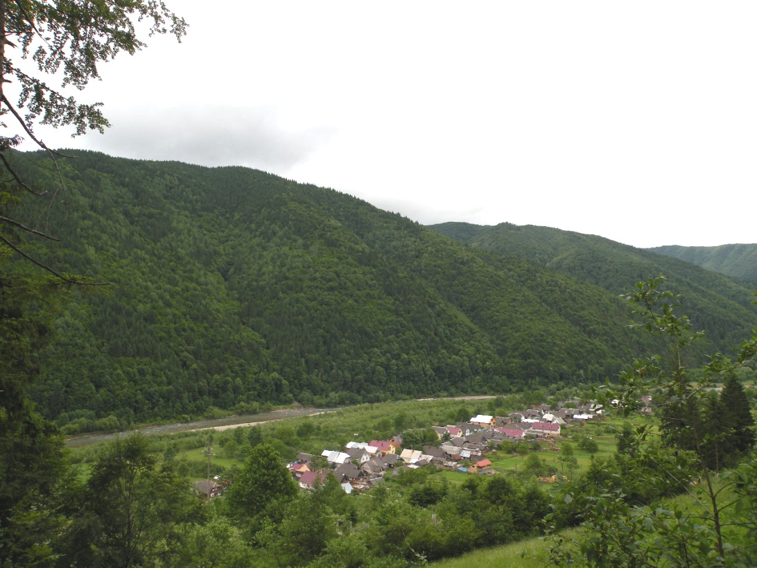 Окрестности с. Усть-Черная, изображение ландшафта.