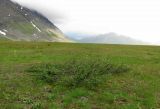 Image of landscape