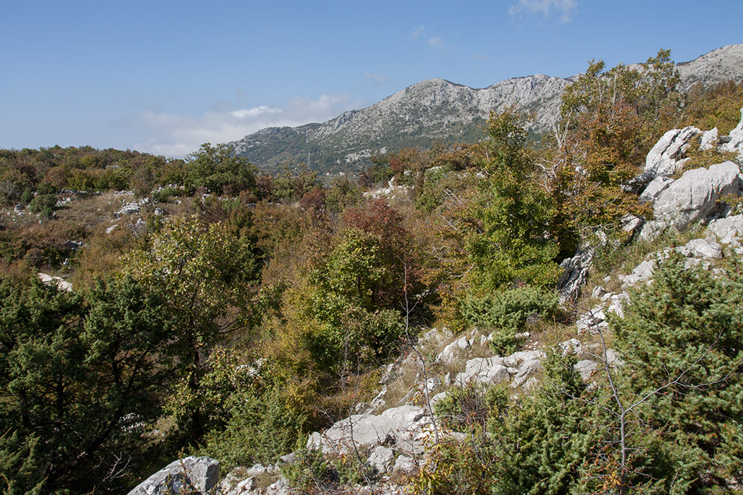 Путь к Космачу, image of landscape/habitat.