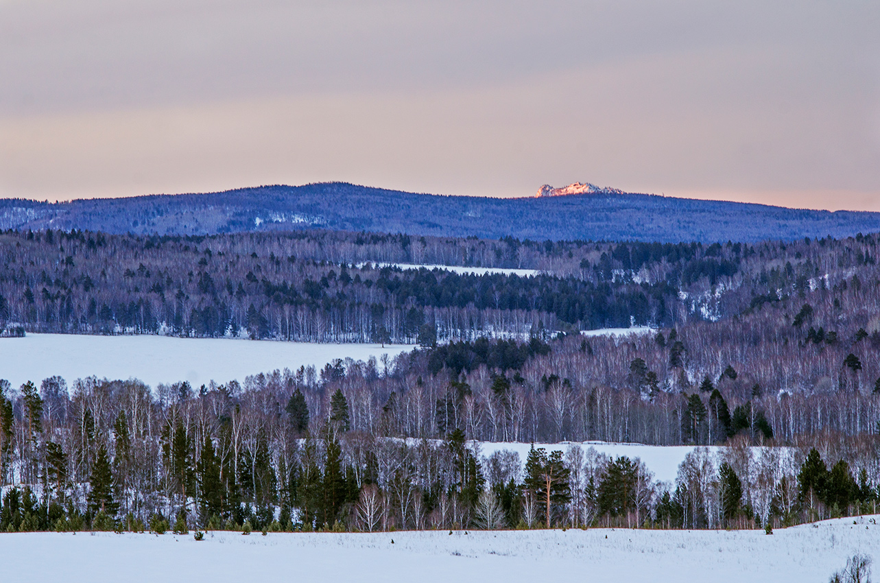 Окрестности села Рысакаево, image of landscape/habitat.