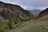 Image of landscape
