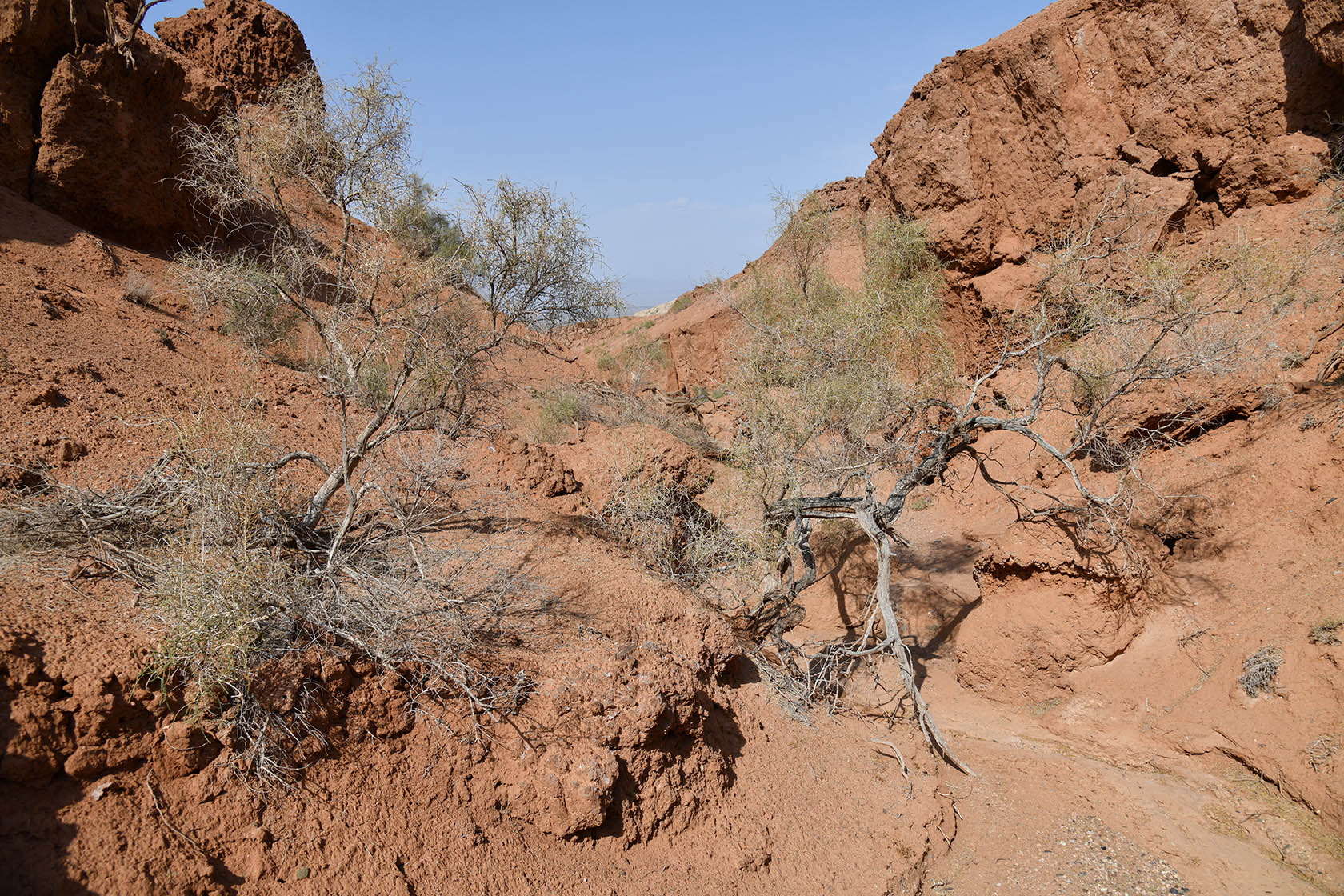 Горы Улькен-Богуты, image of landscape/habitat.