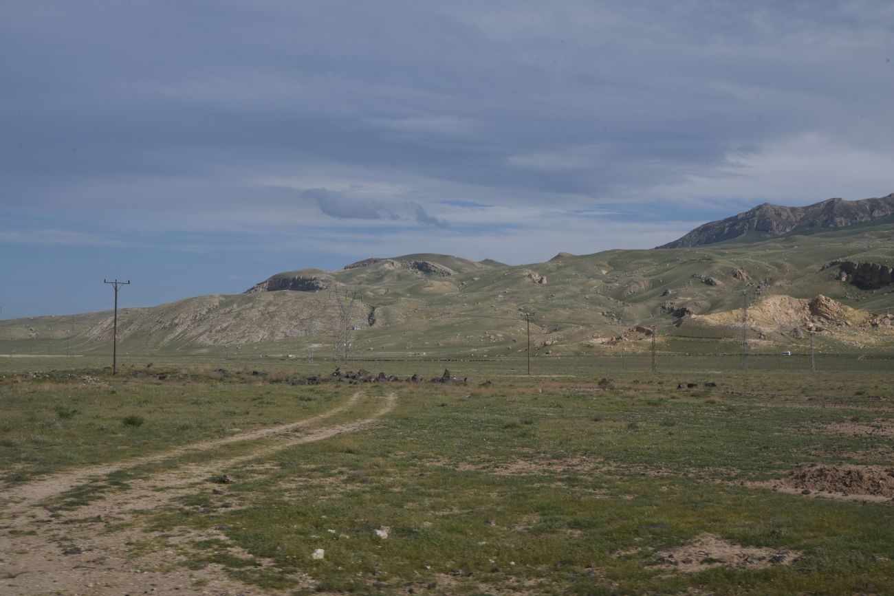 Озеро Шейхли, image of landscape/habitat.