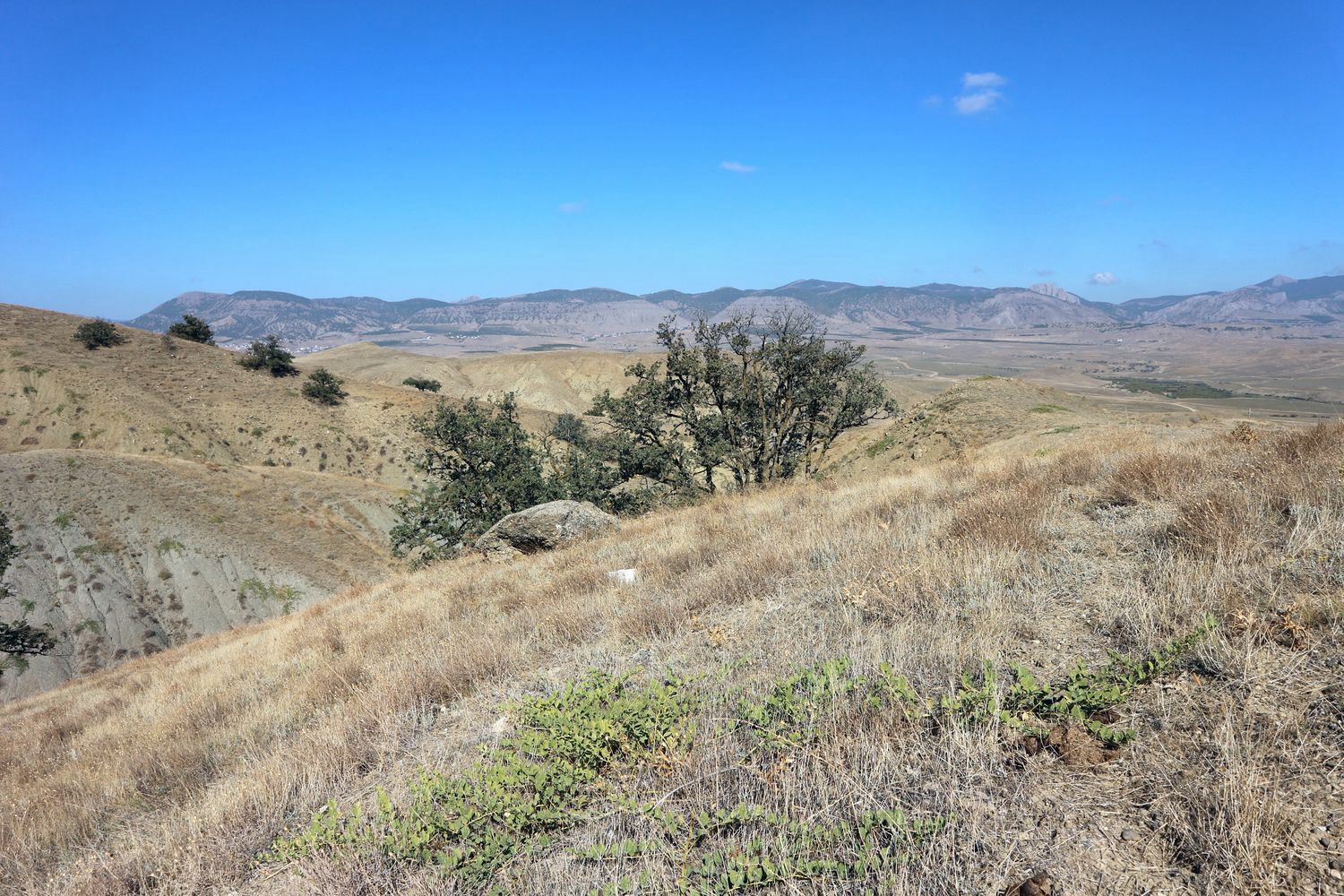 Меганом, image of landscape/habitat.