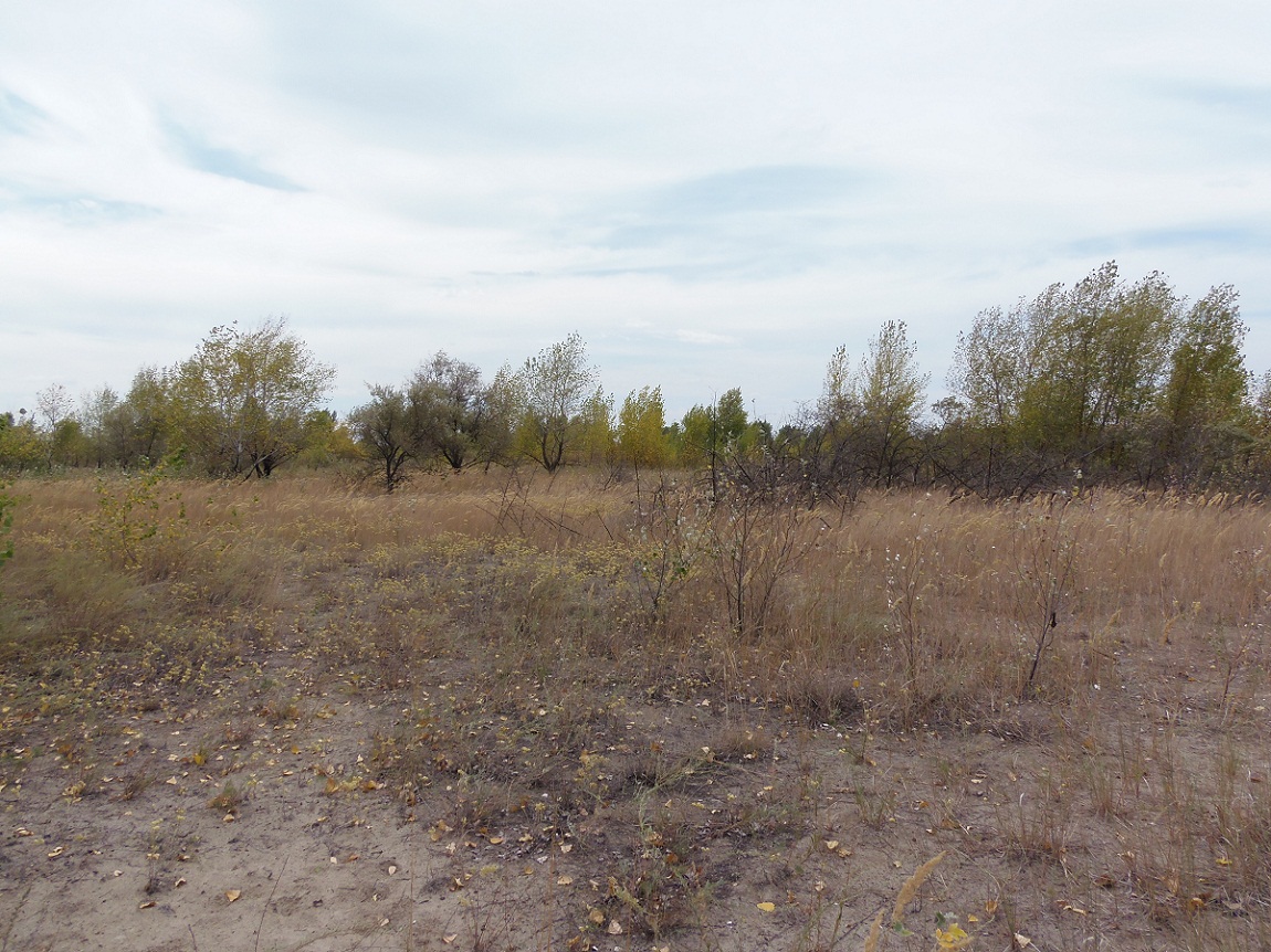 Район Гребного канала, image of landscape/habitat.