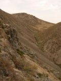 Image of landscape
