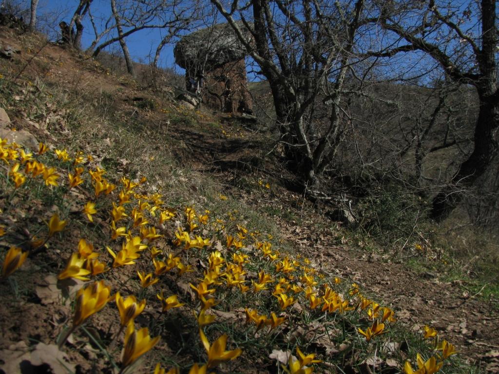 Крым, р. Сотера, image of landscape/habitat.